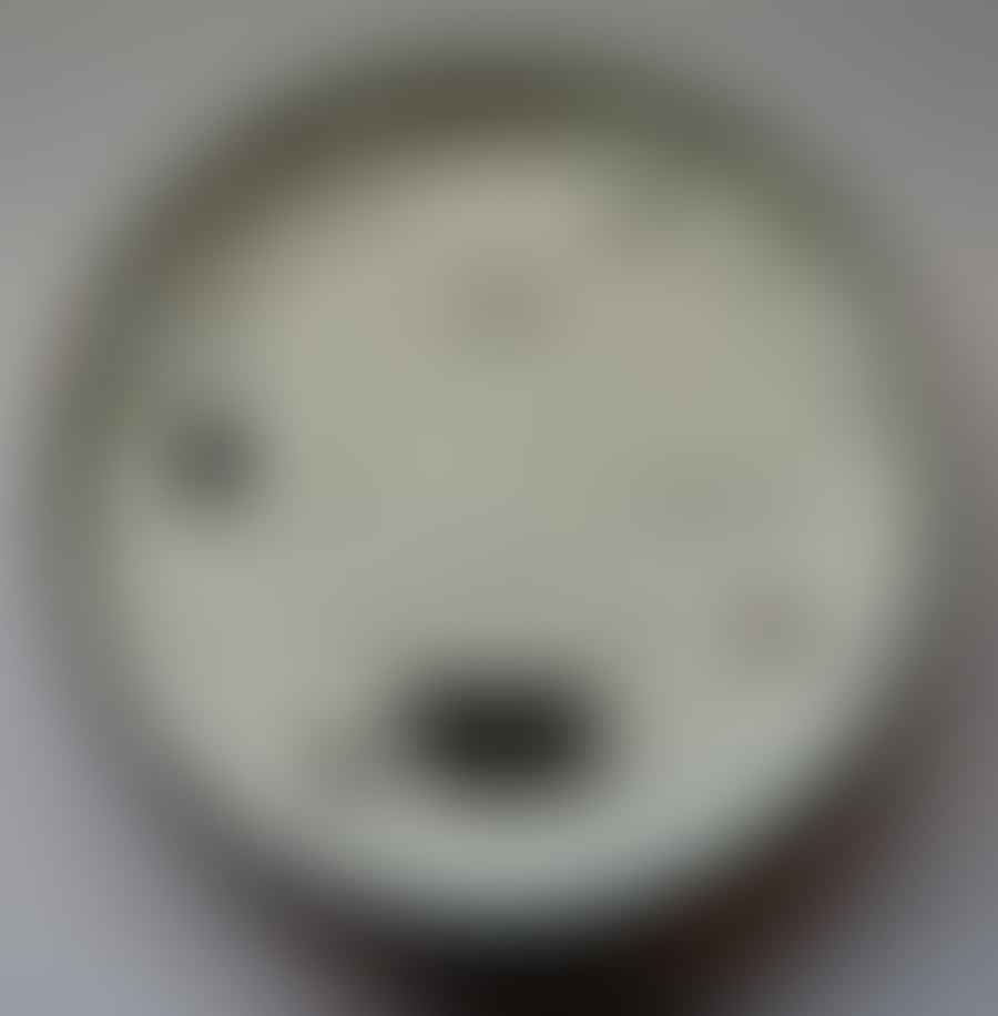 Close-up view of the interior of a Nest Thermostat