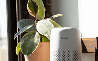 How to factory reset a Levoit air purifier?